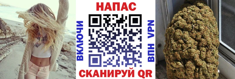 Купить закладки  Сертолово  МАРИХУАНА OG Kush 